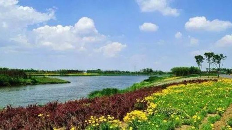农资批发代理：揭秘其背后的利与弊**