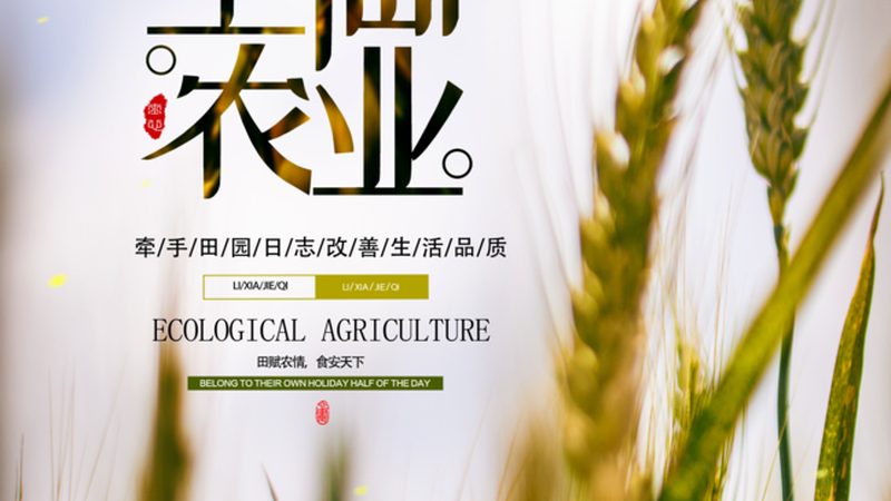 粮食种植：利润与风险的平衡之道