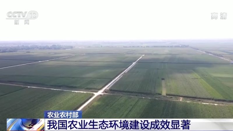 农业产业园土地流转纠纷处理：关键步骤与法律依据**