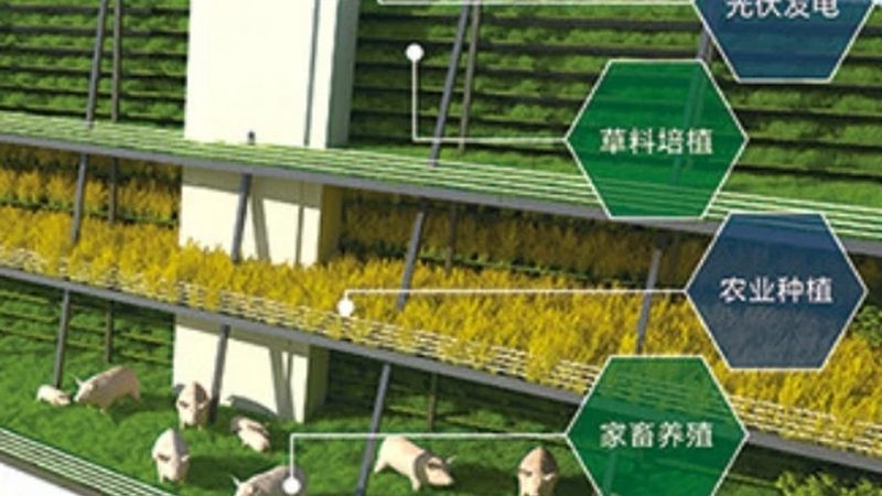 有机蔬菜种植，肥料选择有讲究**