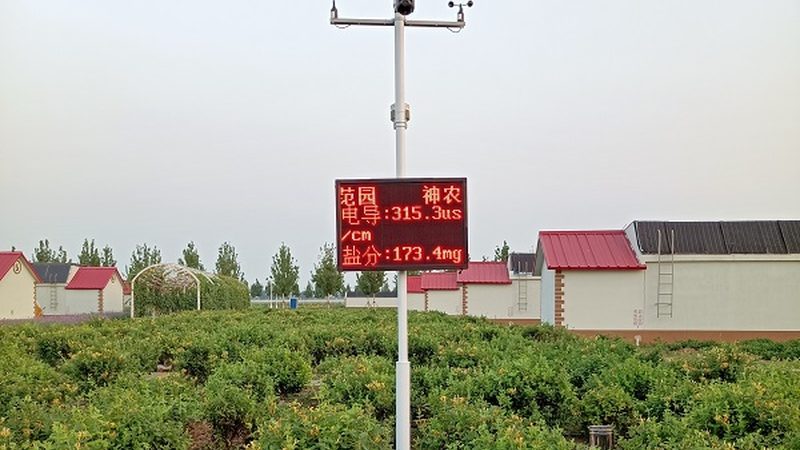 云南山地农业项目探秘：因地制宜，绿色发展**