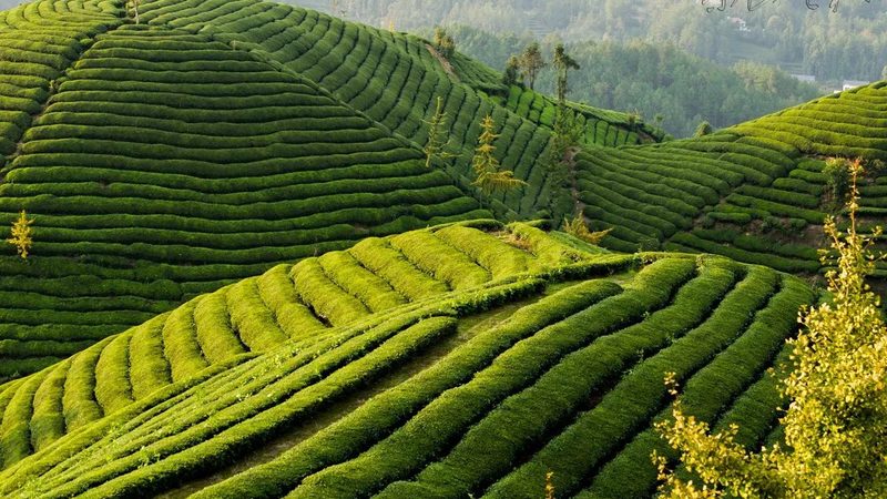 智慧农业设备：标准规范背后的技术逻辑