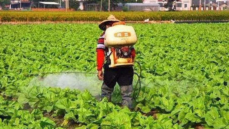 县城农产品批发商起步指南：四大关键步骤解析**